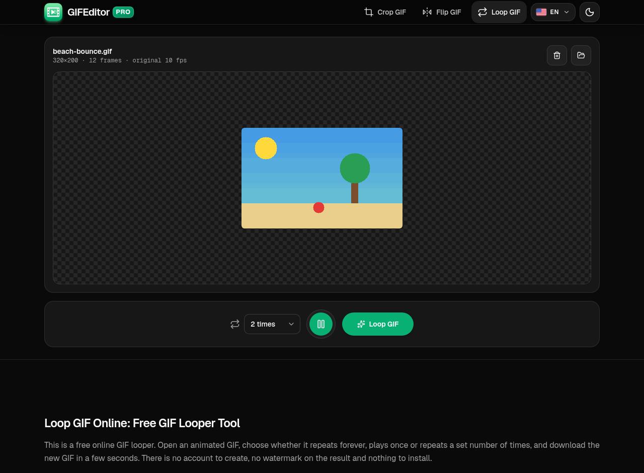 The GIF looper with a GIF loaded, showing the loop menu, the Play button and the Loop GIF button